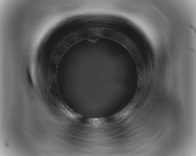 X0000099300239200805021238