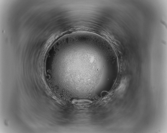 X0000099300241200805021237