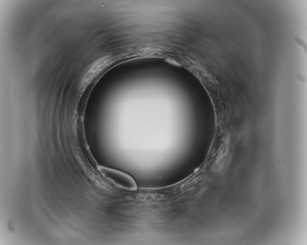 X0000099300242200805021237