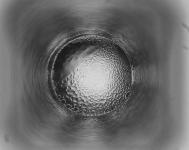 X0000099300243200805021237