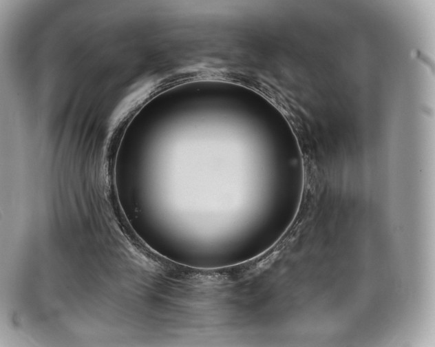 X0000099300245200805021237