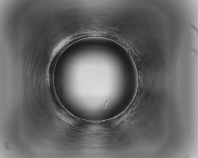 X0000099300246200805021237