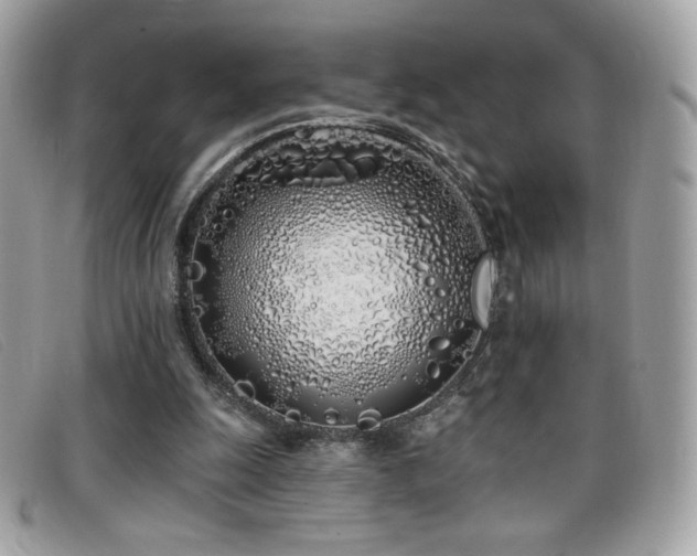 X0000099300247200805021237