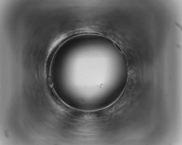 X0000099300248200805021237