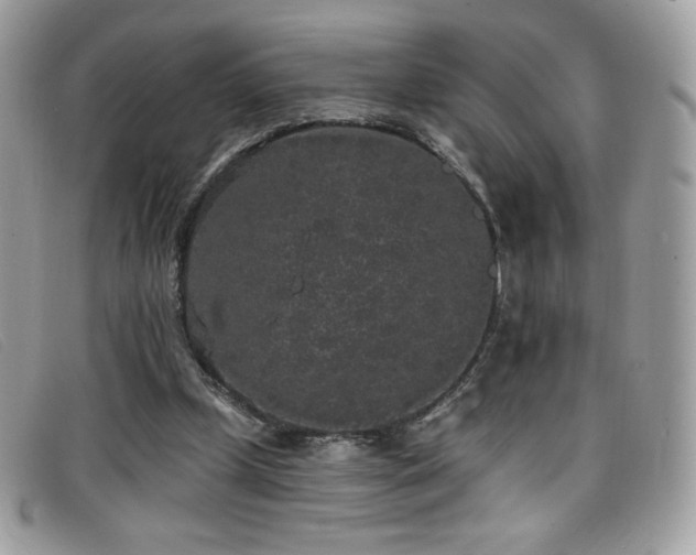 X0000099300249200805021237