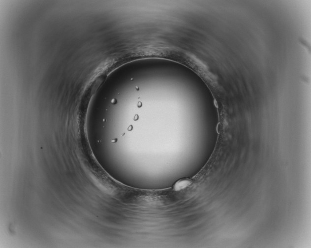 X0000099300250200805021237