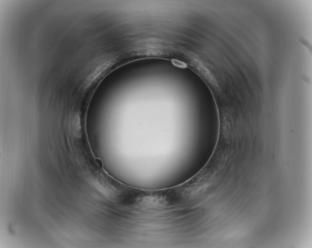 X0000099300251200805021237