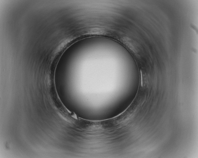 X0000099300252200805021237