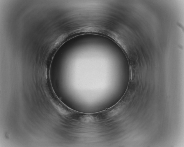 X0000099300253200805021237