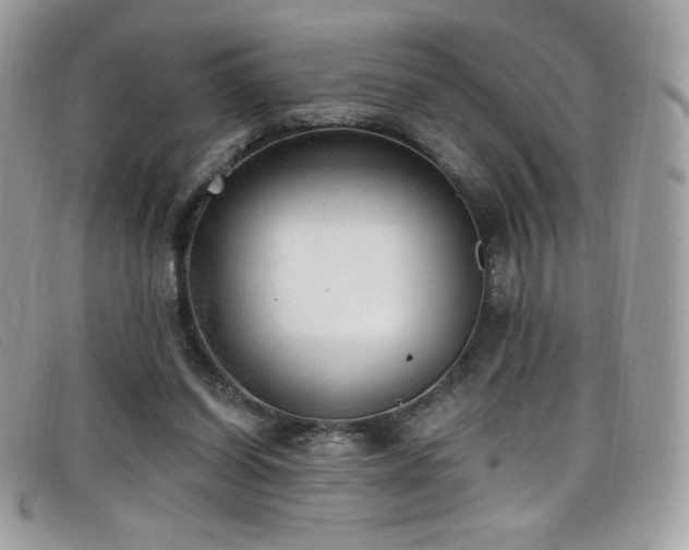 X0000099300254200805021237