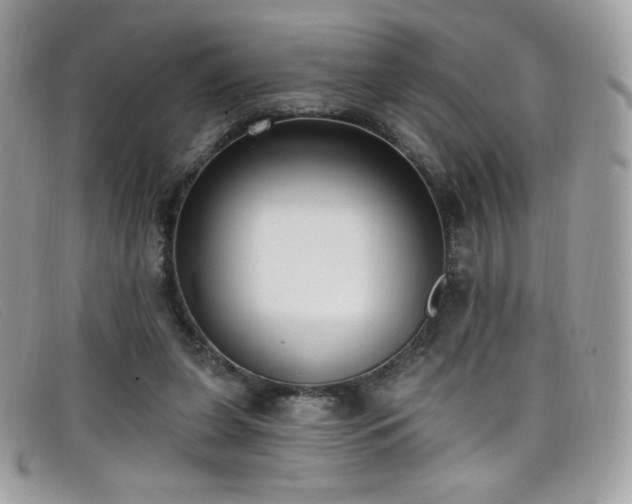 X0000099300255200805021237