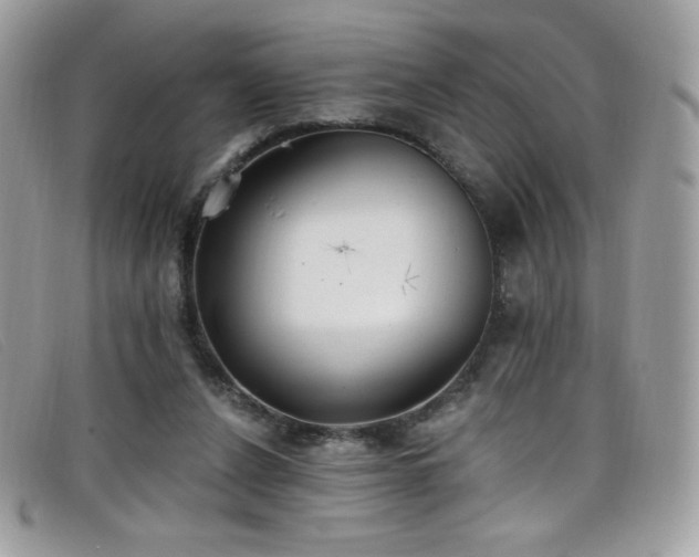 X0000099300256200805021237