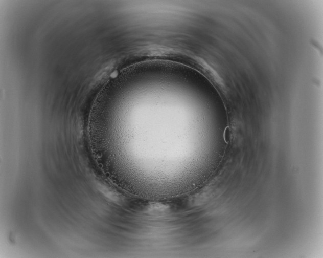 X0000099300257200805021237