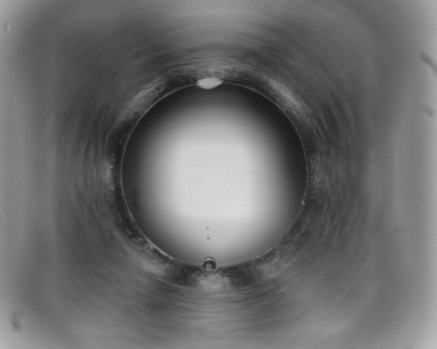 X0000099300258200805021237