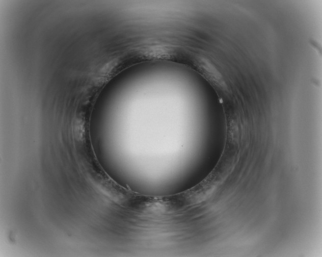 X0000099300259200805021237