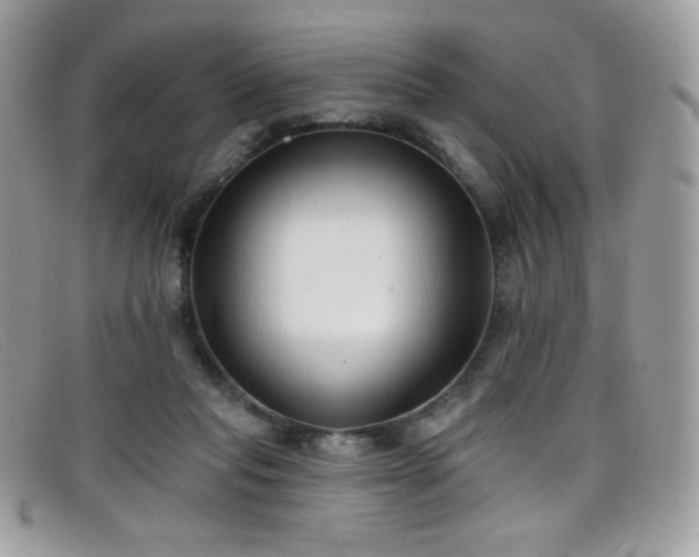 X0000099300261200805021237