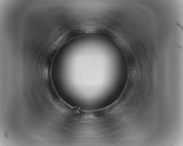 X0000099300262200805021237