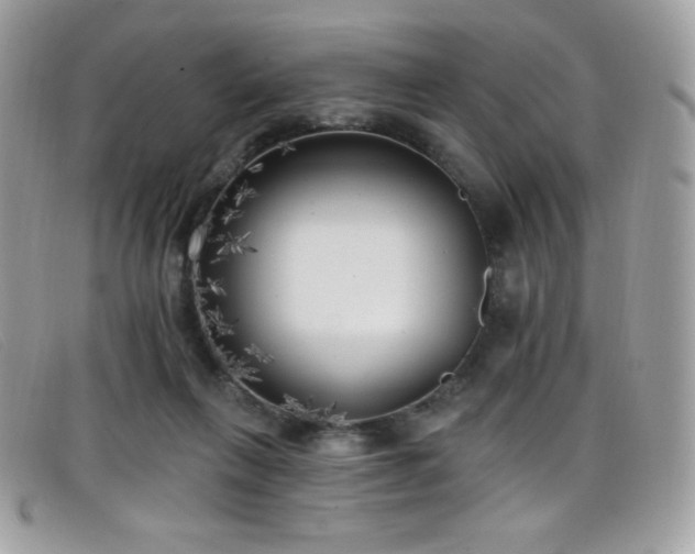 X0000099300263200805021237