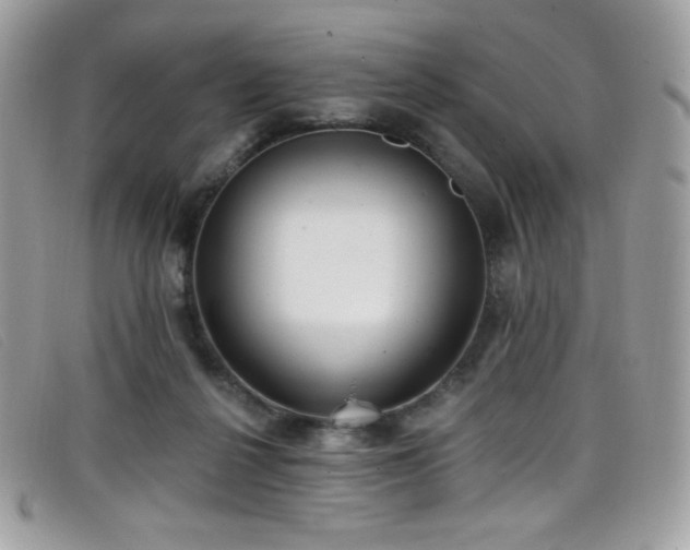 X0000099300264200805021237