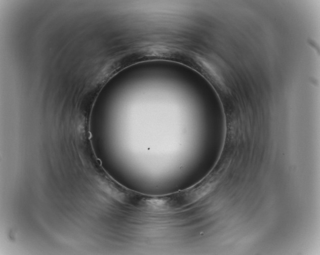 X0000099300265200805021237