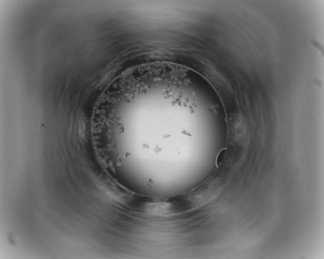 X0000099300266200805021237