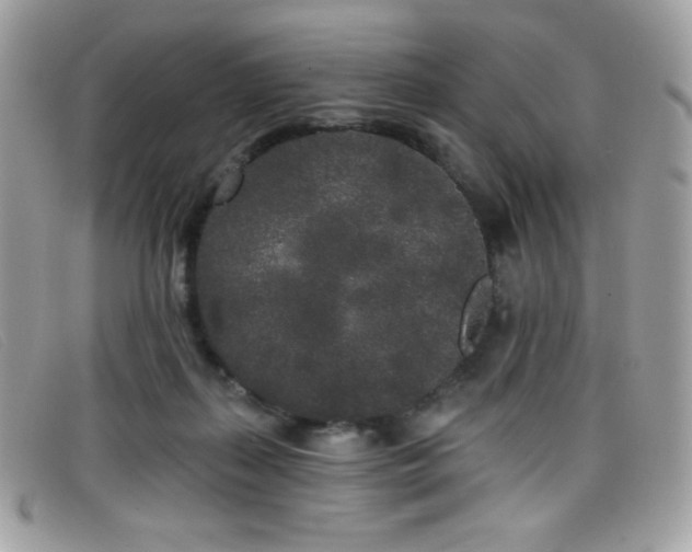 X0000099300267200805021237