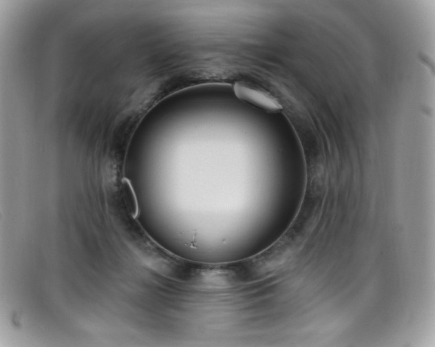 X0000099300268200805021237