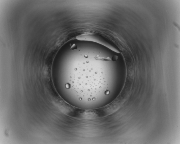 X0000099300270200805021237