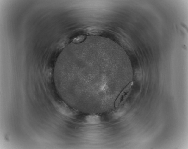 X0000099300271200805021237