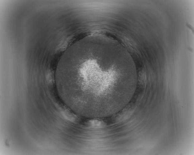 X0000099300272200805021237