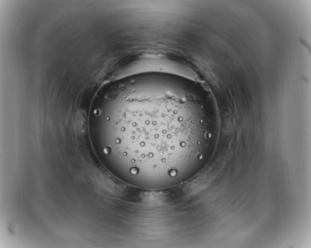 X0000099300273200805021237