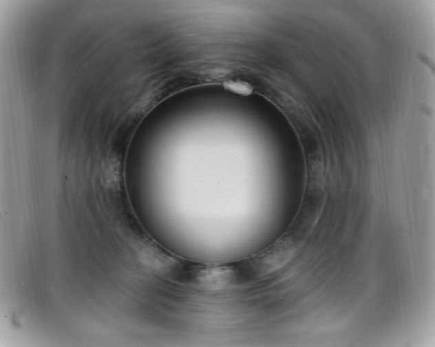 X0000099300274200805021237