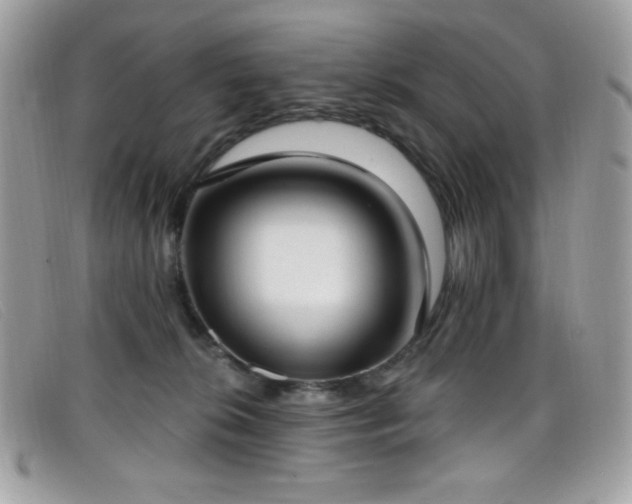 X0000099300276200805021237