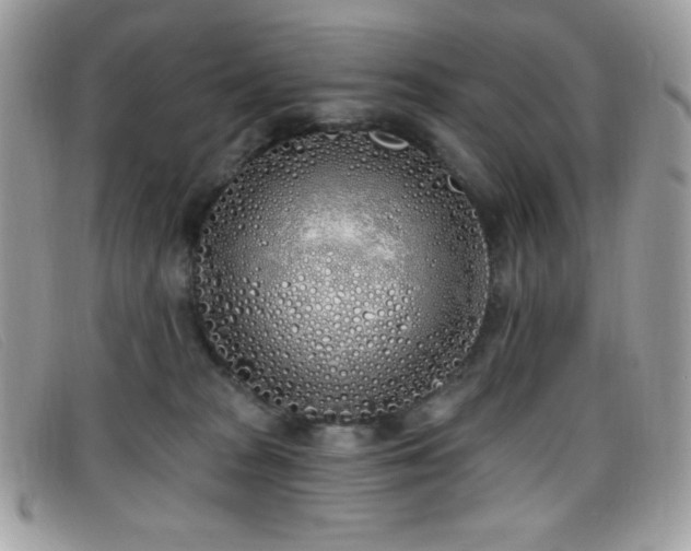 X0000099300277200805021237