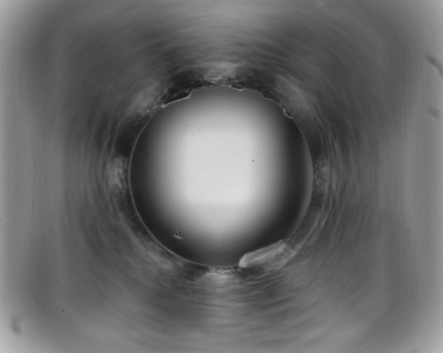 X0000099300280200805021237