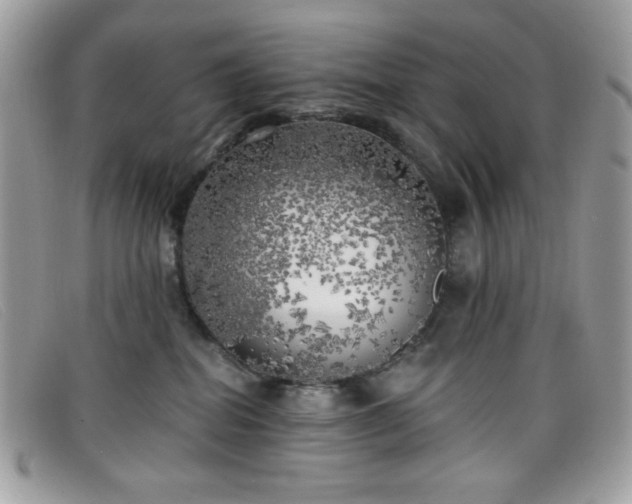 X0000099300282200805021237