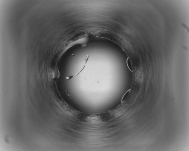 X0000099300283200805021237