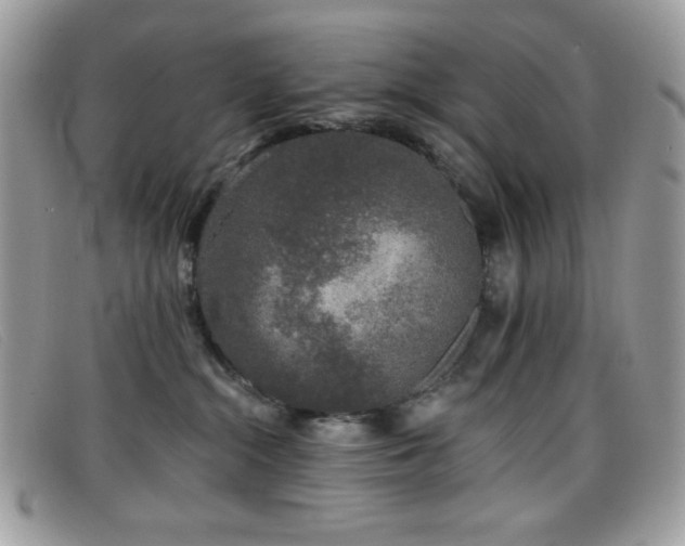 X0000099300284200805021237