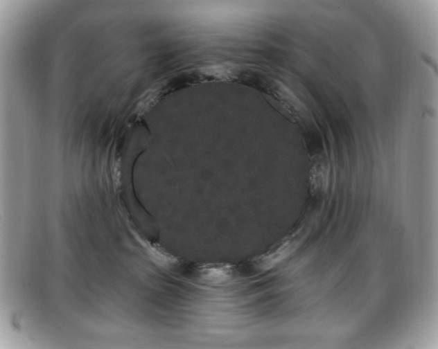 X0000099300285200805021237