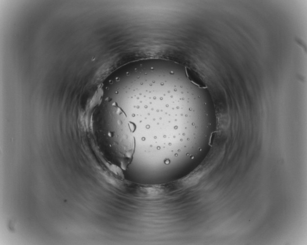 X0000099300286200805021237