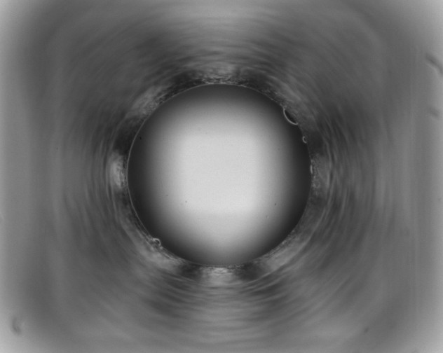 X0000099300287200805021237