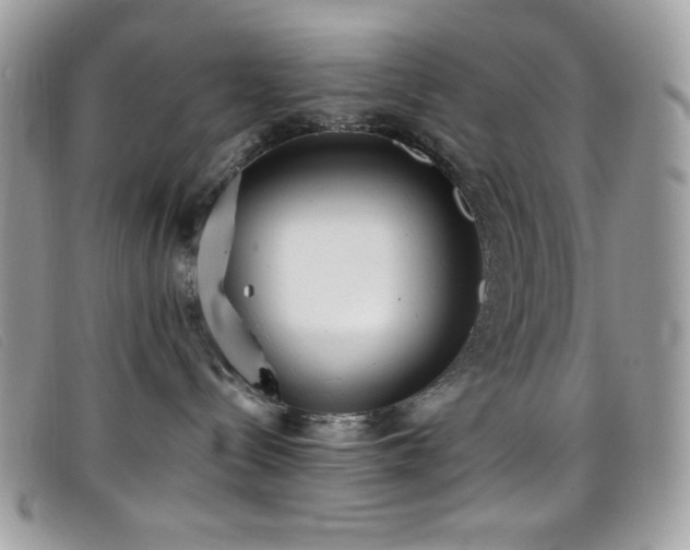 X0000099300288200805021238