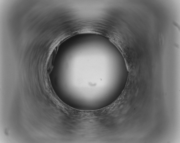 X0000099300289200805021237