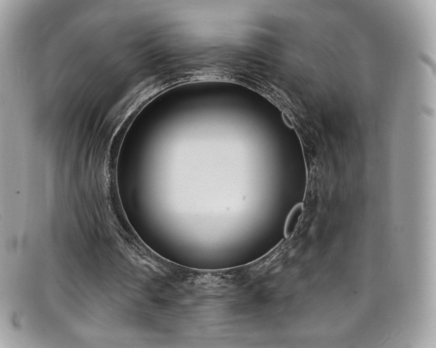 X0000099300290200805021237