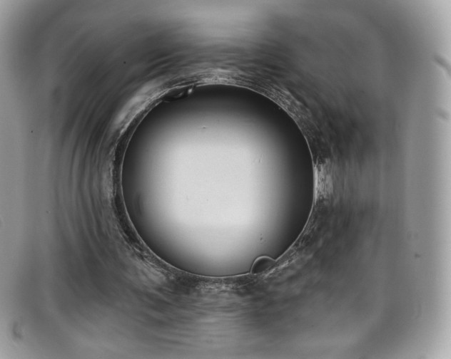 X0000099300291200805021237