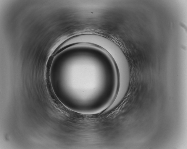 X0000099300292200805021237