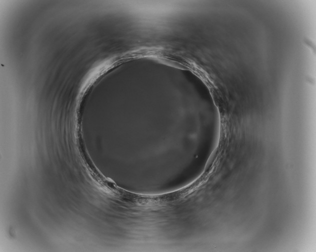 X0000099300293200805021237