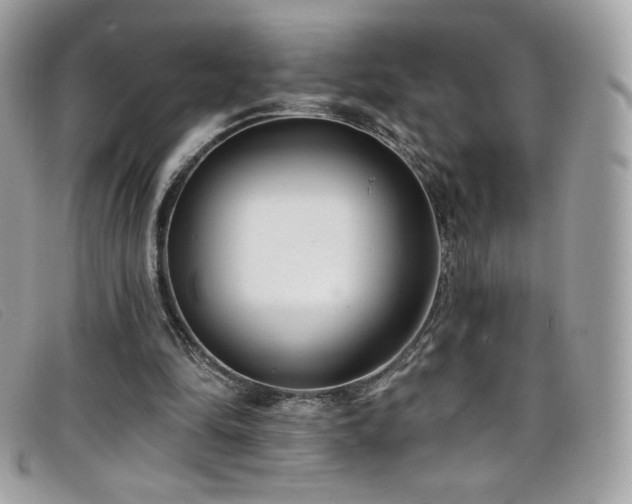 X0000099300294200805021237