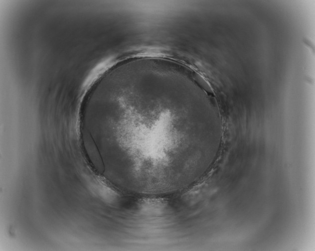 X0000099300296200805021237