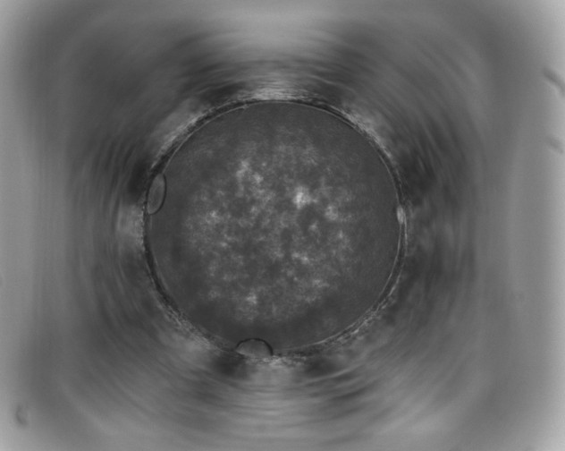 X0000099300297200805021237